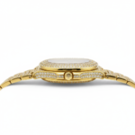 Fully Iced Out Gold Patek Philippe Nautilus Style Watch